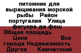 питомник для выращивания морской рыбы › Район ­ португалия › Улица ­ фигуера да фош › Общая площадь ­ 5 000 000 › Цена ­ 70 000 000 - Все города Недвижимость » Другое   . Камчатский край,Петропавловск-Камчатский г.